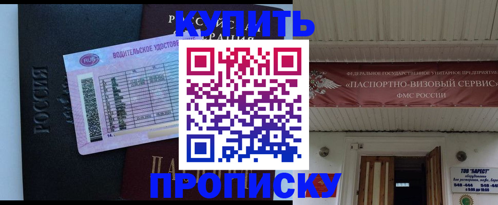 временная регистрация поиск в Благовещенске